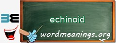 WordMeaning blackboard for echinoid